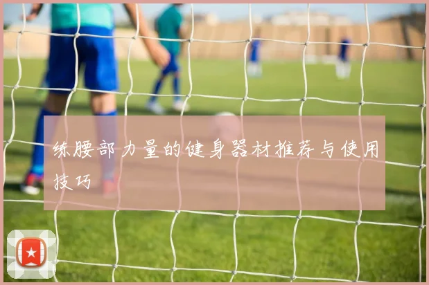 练腰部力量的健身器材推荐与使用技巧