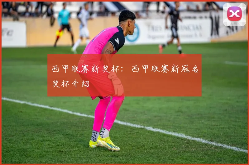 西甲联赛新奖杯：西甲联赛新冠名奖杯介绍