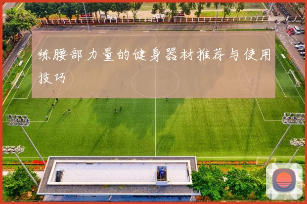 练腰部力量的健身器材推荐与使用技巧